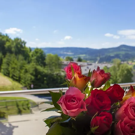 Apartman Kamienna Z Widokiem Na Gory I 2 Km Do Wyciagu Skolnity - Dream
