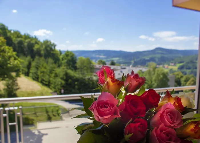 Apartment Kamienna Z Widokiem Na Gory I 2 Km Do Wyciagu Skolnity - Dream